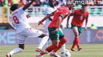 قمة الجولة.. توقيت مباراة الجزائر والكونغو الديمقراطية في ربع نهائي إفريقيا 2025